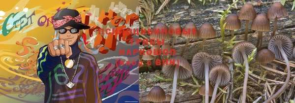 мяу мяу мука Алзамай