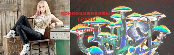 мяу мяу мука Алзамай